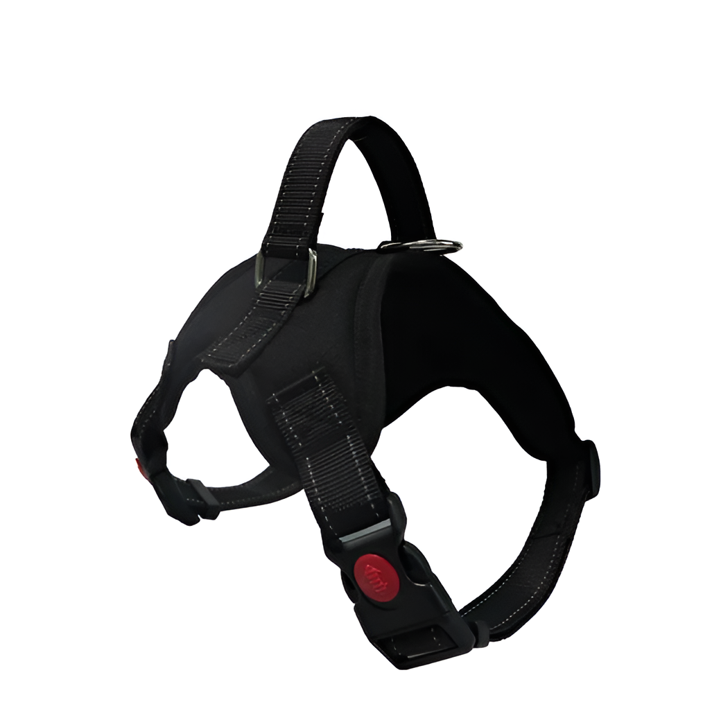 Dog Harness