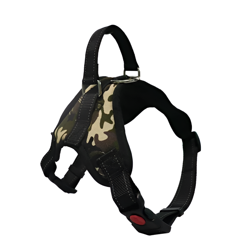 Dog Harness