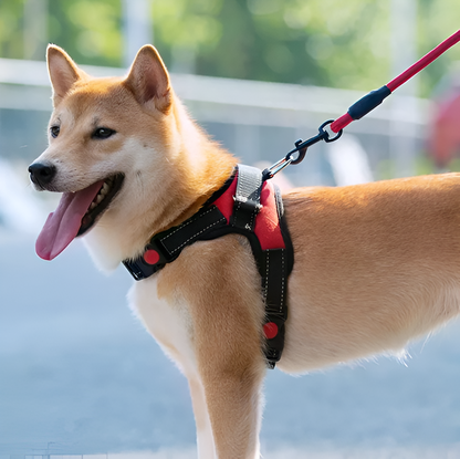 Dog Harness