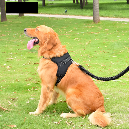 Dog Harness