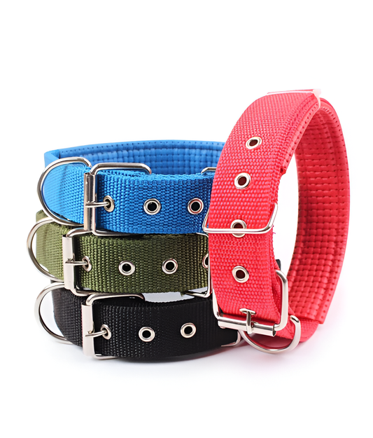 Nylon Dog Collar