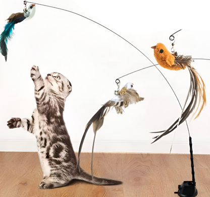 Bird/Feather Wand Cat Toy (With Suction Cup)