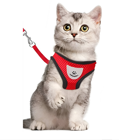 Cat Harness with Lead