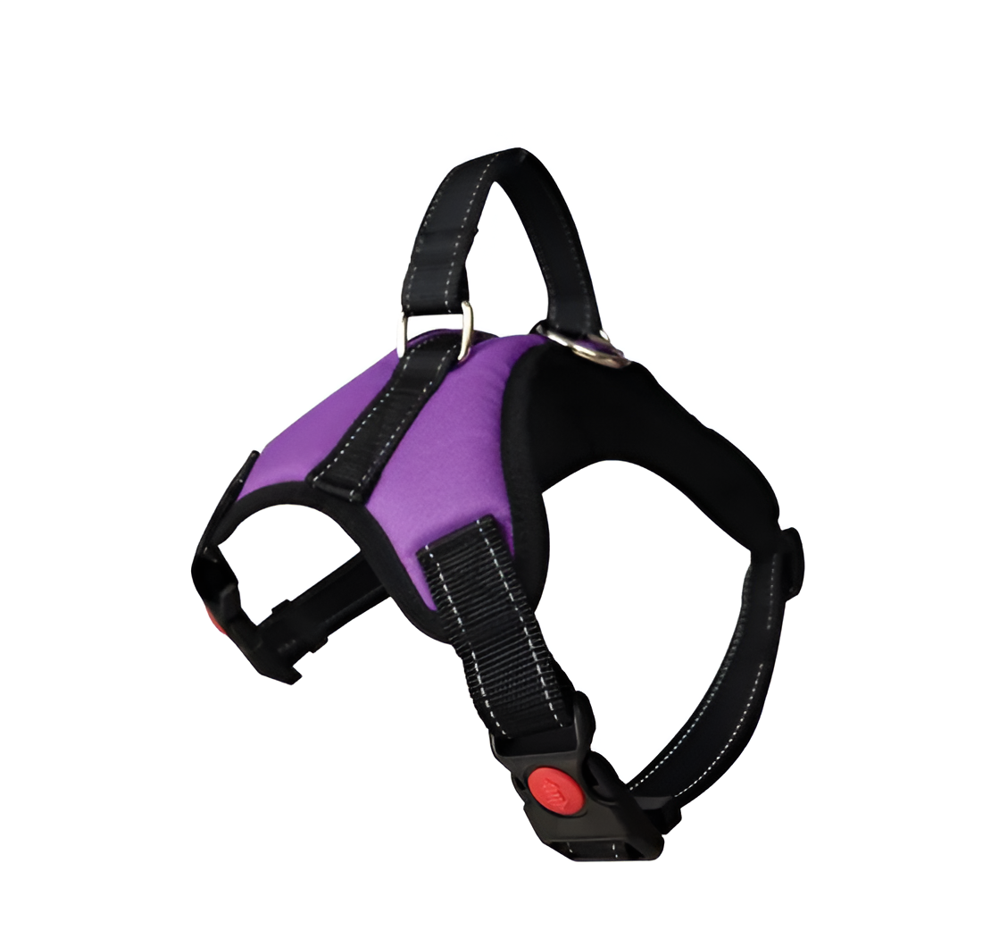 Dog Harness