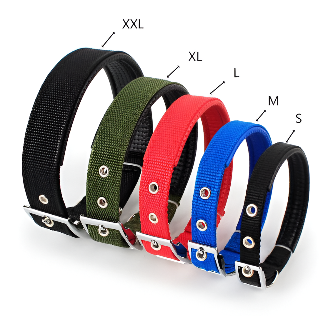 Nylon Dog Collar