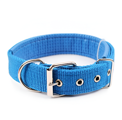 Nylon Dog Collar