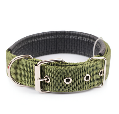 Nylon Dog Collar