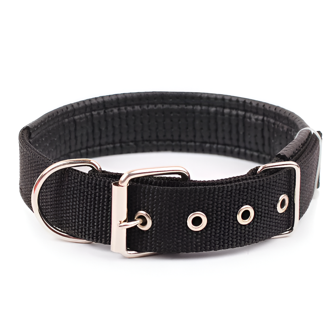 Nylon Dog Collar