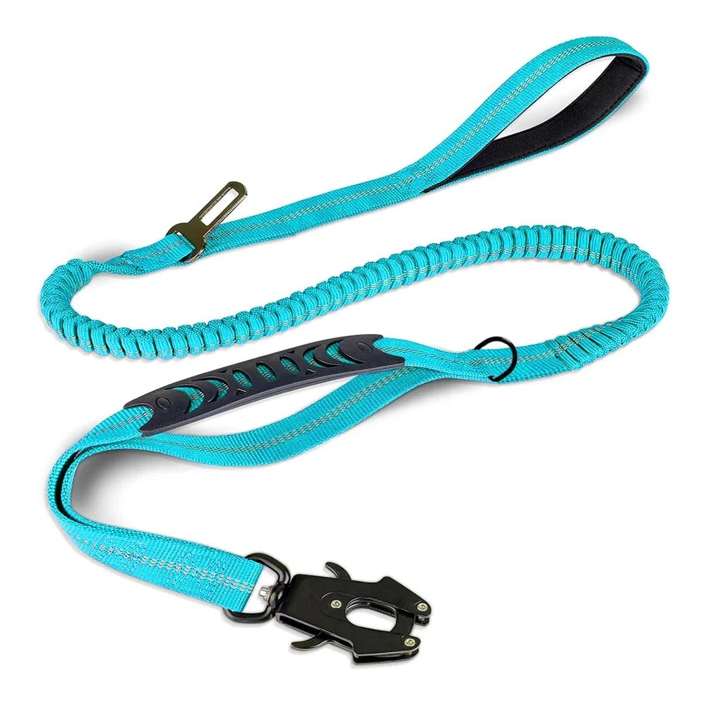 IronPaw Leash