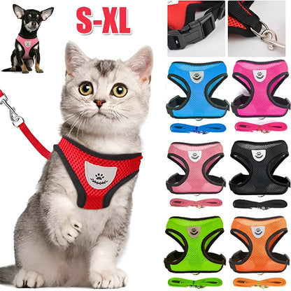 Cat Harness with Lead