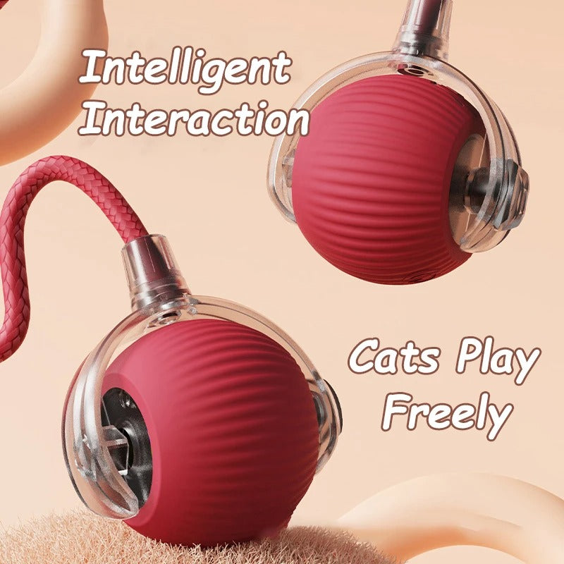 Interactive Smart Cat Ball