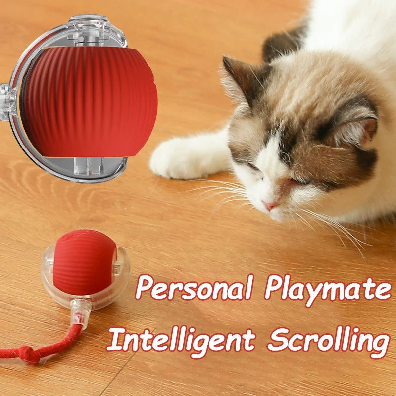 Interactive Smart Cat Ball