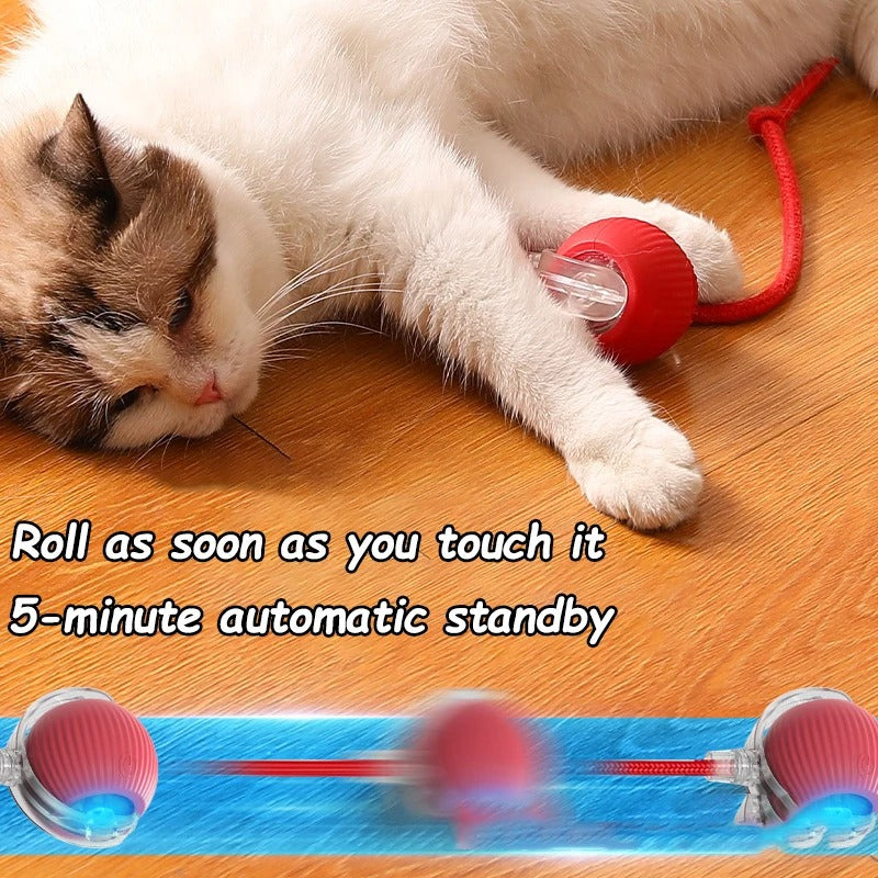 Interactive Smart Cat Ball