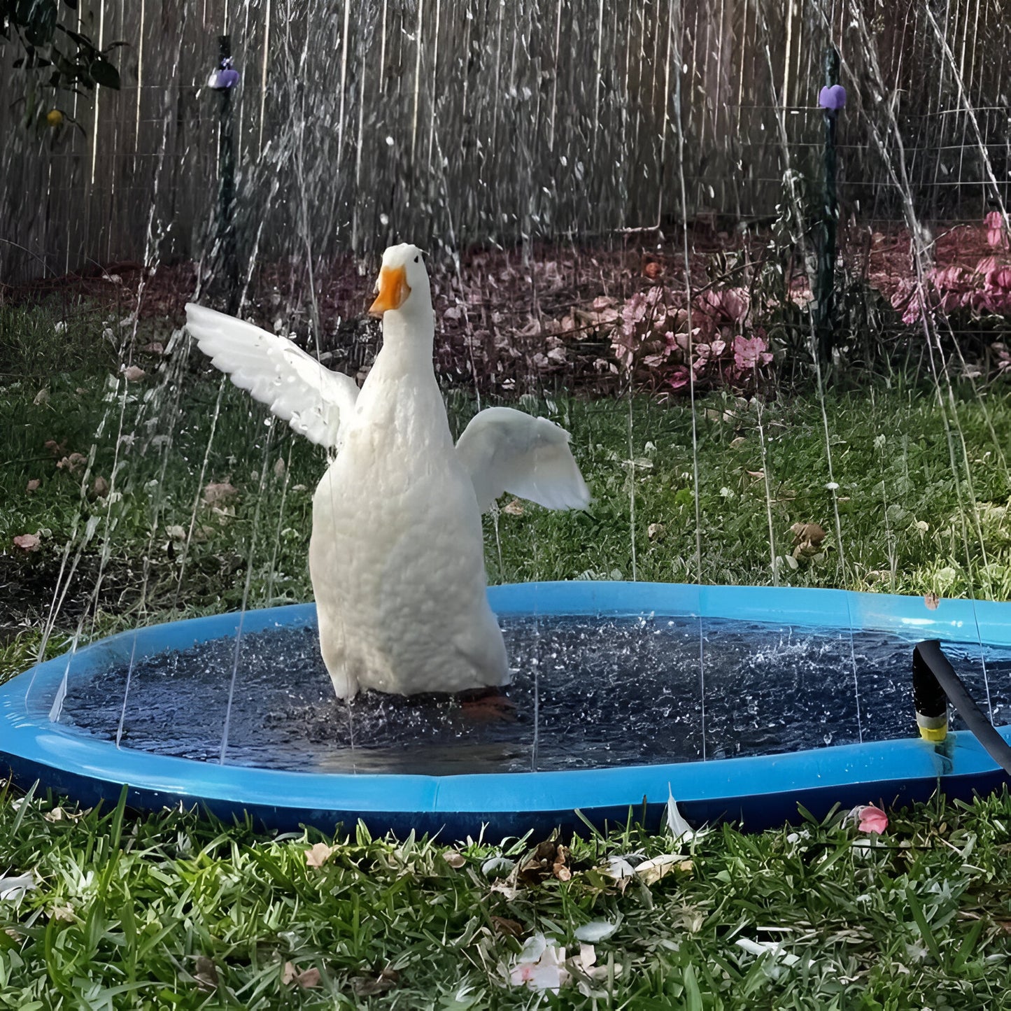 Woofer Sprinkler & Splash Pad