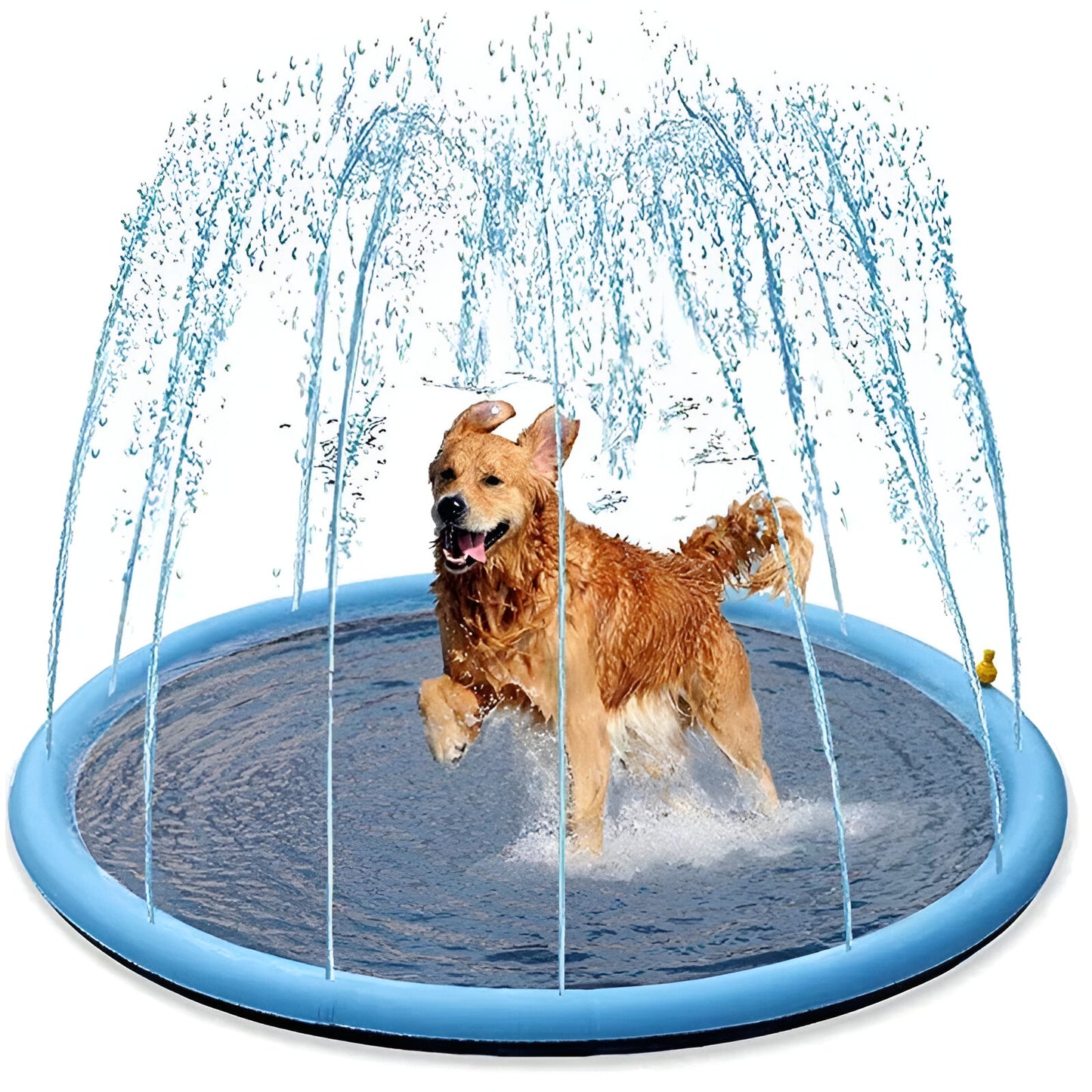 Woofer Sprinkler & Splash Pad