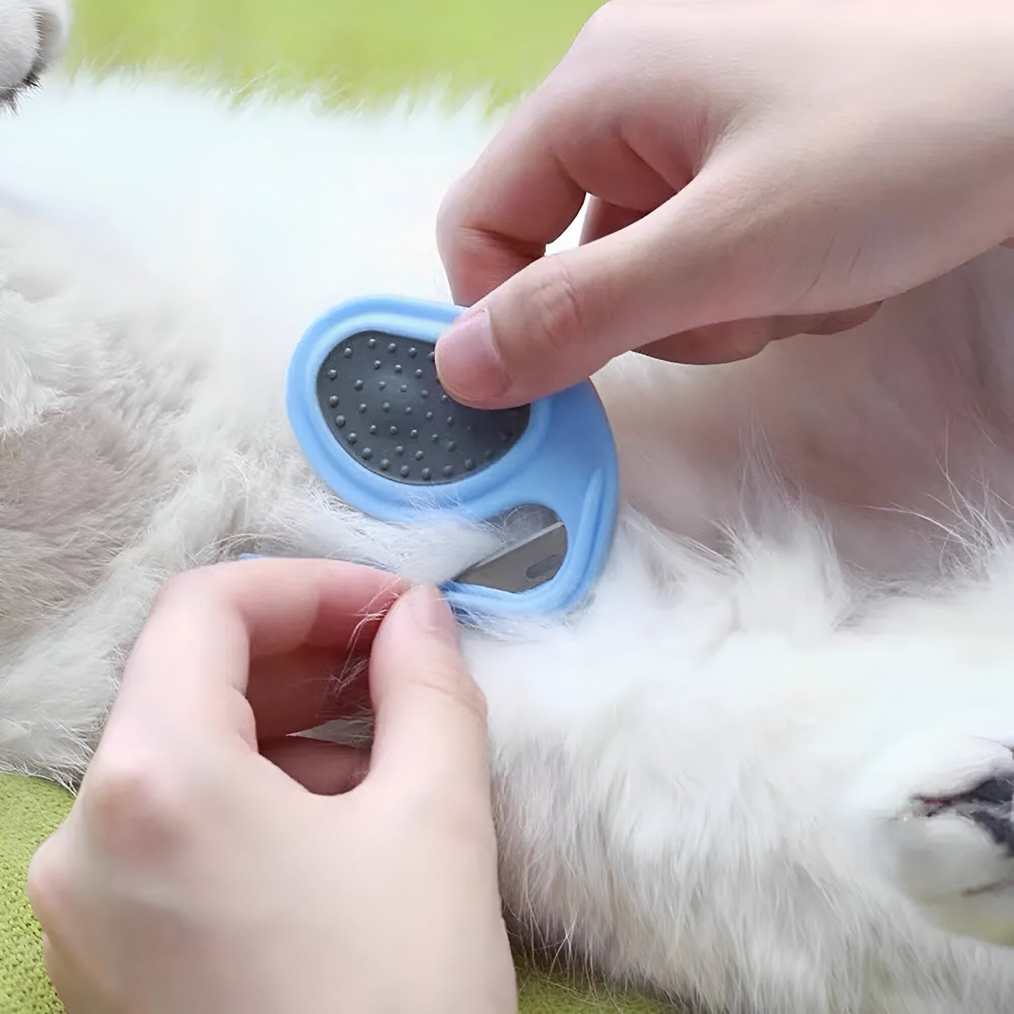 Cat & Dog Anti Knot Trimmer Blade