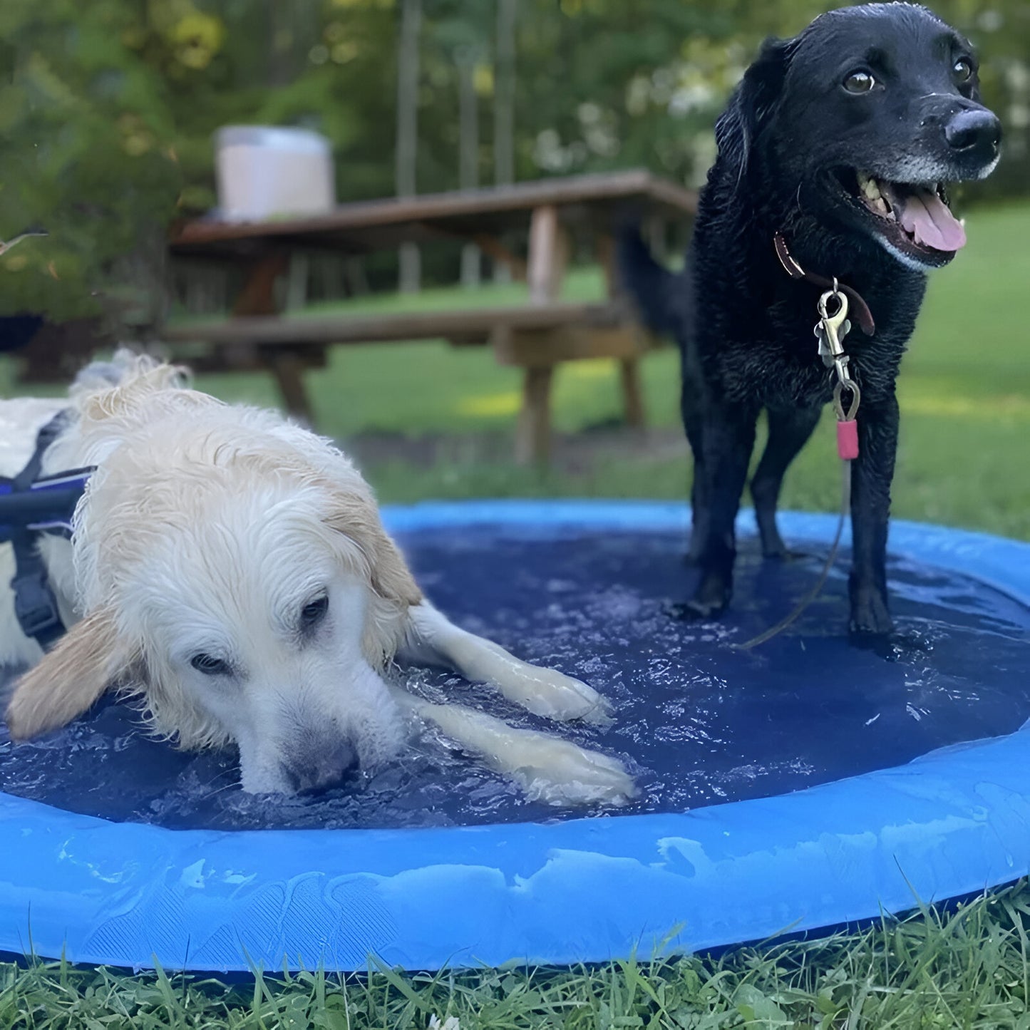 Woofer Sprinkler & Splash Pad