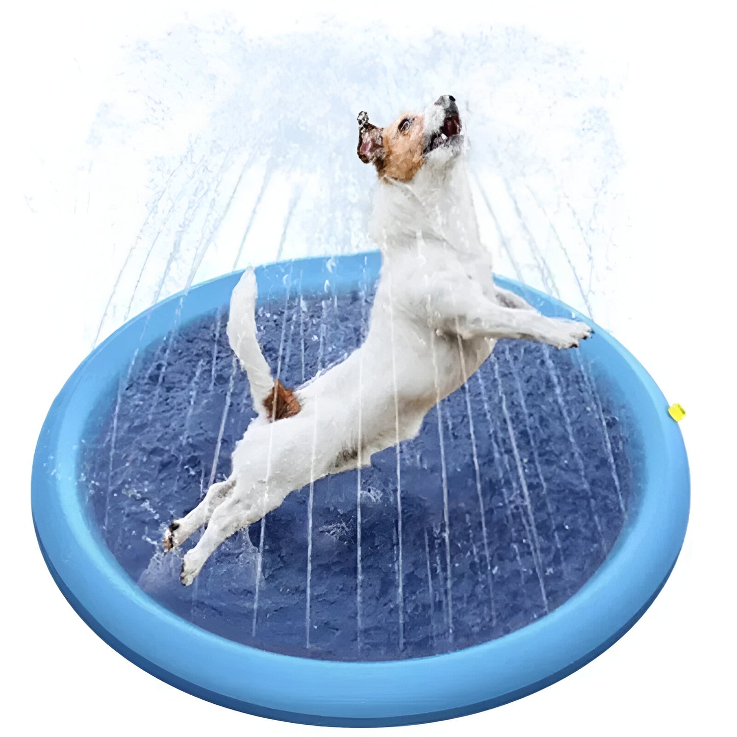 Woofer Sprinkler & Splash Pad