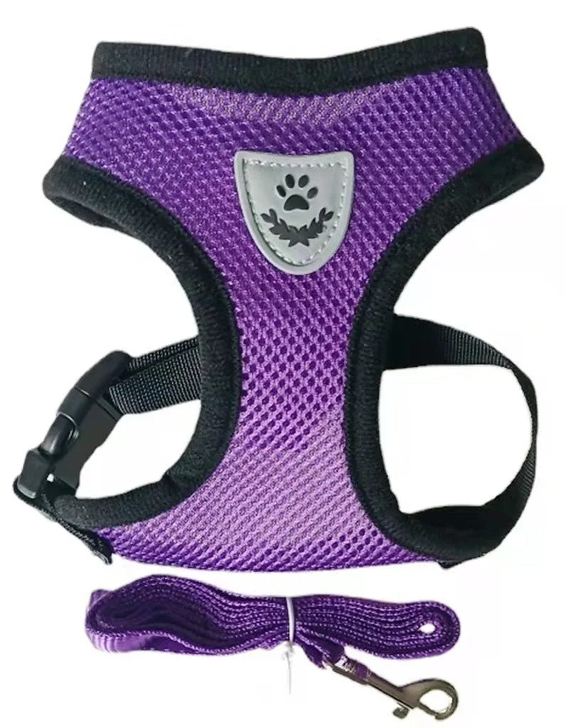 Cat Harness with Lead